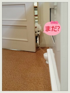 �[��