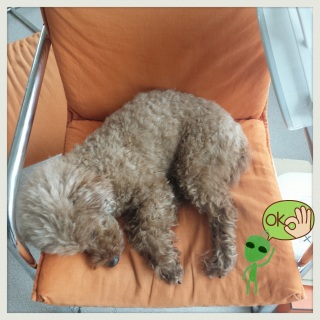 �C�����ǂ�������