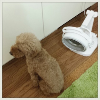 �r����