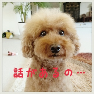 ���璆