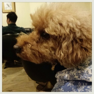��D����