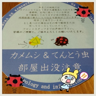 ����
