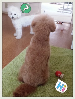 �T���Ă��