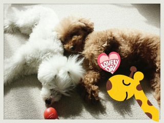 �C�t���ꂽ(^^;