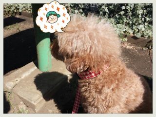 �p�p�҂�