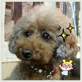 �L���L��
