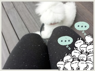 ���M���X