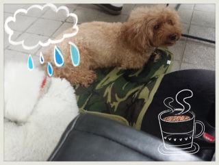 �J������