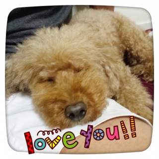 ���S