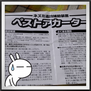 �l�Y�~
