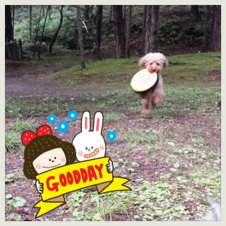 ��D����