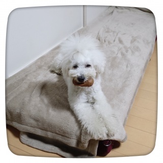�Y��Ȃ��悤�Ɂc