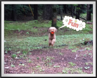 �܂��m��Ȃ�