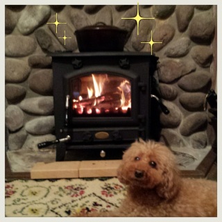 ���`�������W