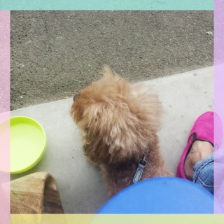 �J���t��
