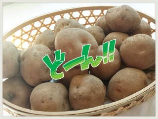 ���Ⴊ����