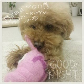 ���₷�݁`