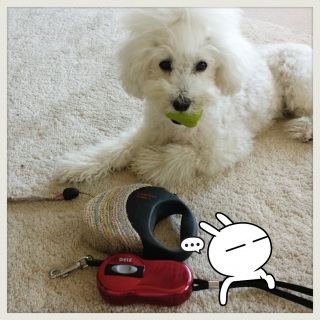 ���o�����p