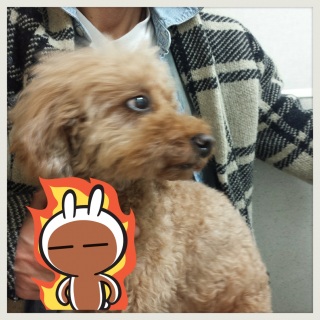 �p�O����