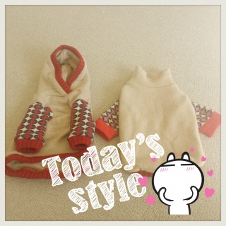 �v�`������