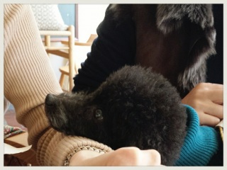 �Â���V
