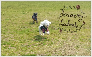 �i����