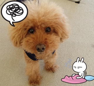 �C��������