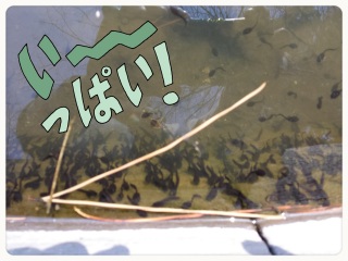 ���낵������