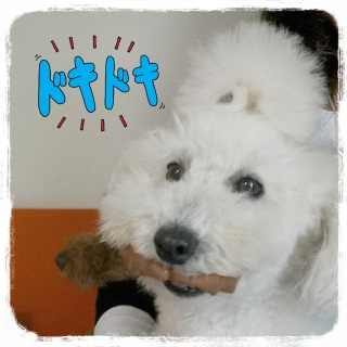 �f�@