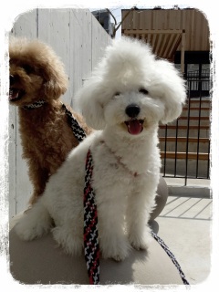 ���O���[�h