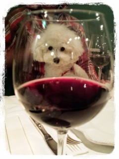 �͂�����