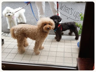 ���U���r����