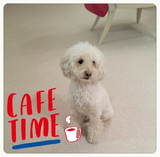 �}�����Z����