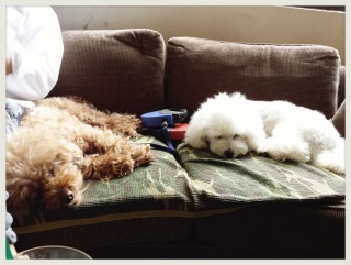 ���낢��