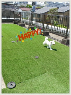 ���Z�ɂ�