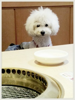 �Ƃ肠����