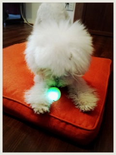 �y������