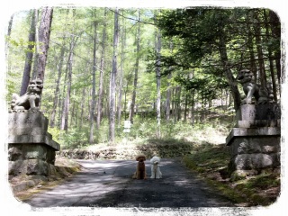 �����ʂ�