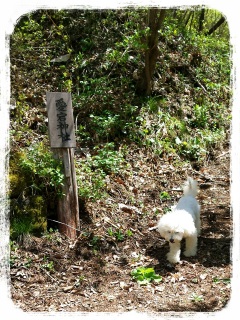 �����_��