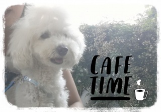 �҂����킹