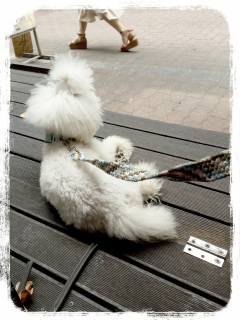 �E�H�b�`���O