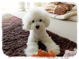 �����C��