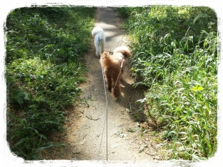 �����Q�n��