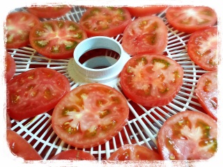 �h���C�g�}�g