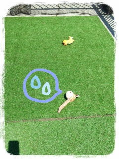 �����Ƃ����Ԃ�