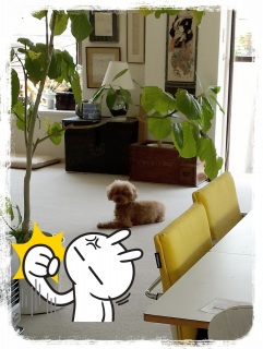 ���[��[�̍���