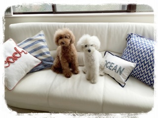 �N�b�V����