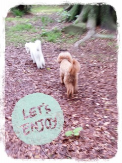 ���y����