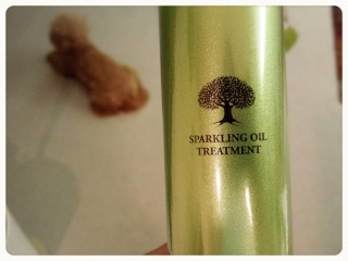 �X�p�[�N�����O�I�C��