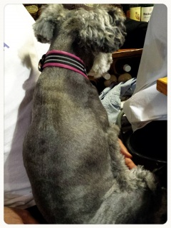 �����A�M���́c